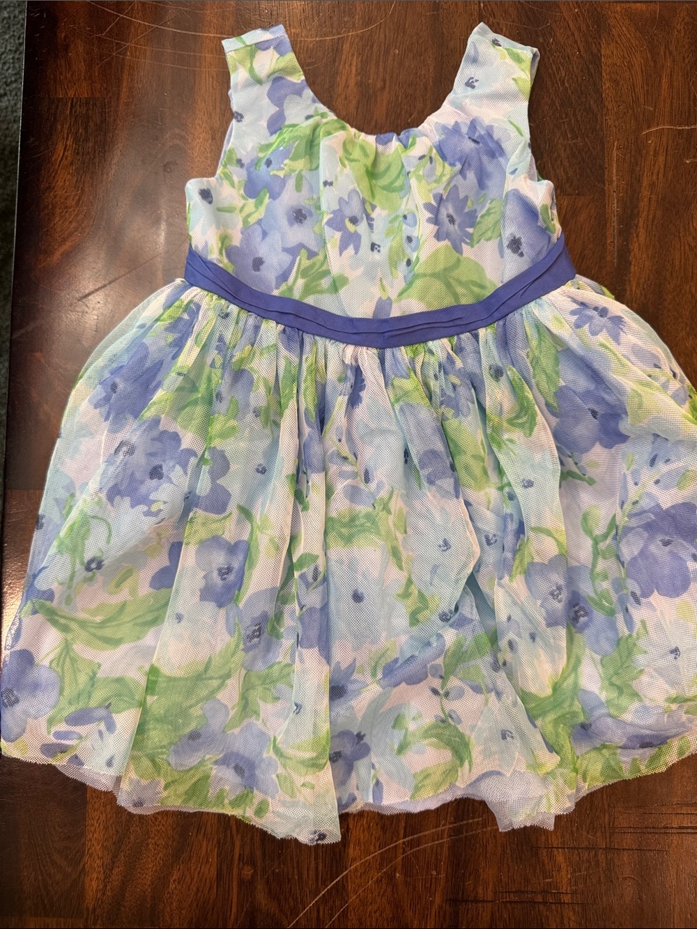 Gymboree Blue and Green Floral Party Dress